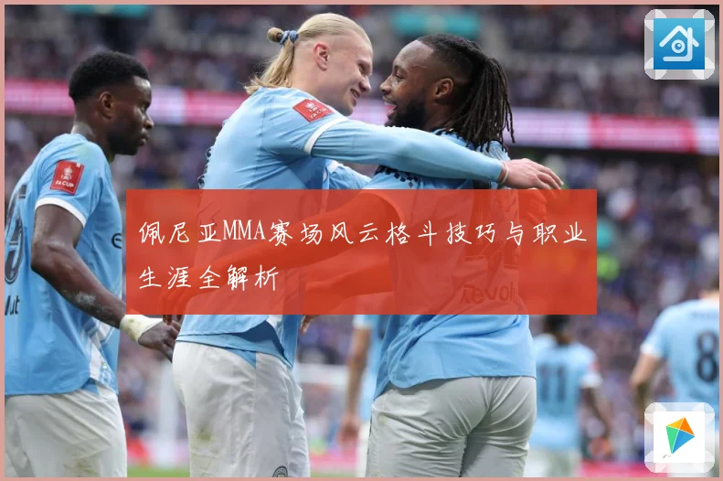 佩尼亚MMA赛场风云格斗技巧与职业生涯全解析
