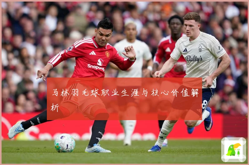 马林羽毛球职业生涯与核心价值解析